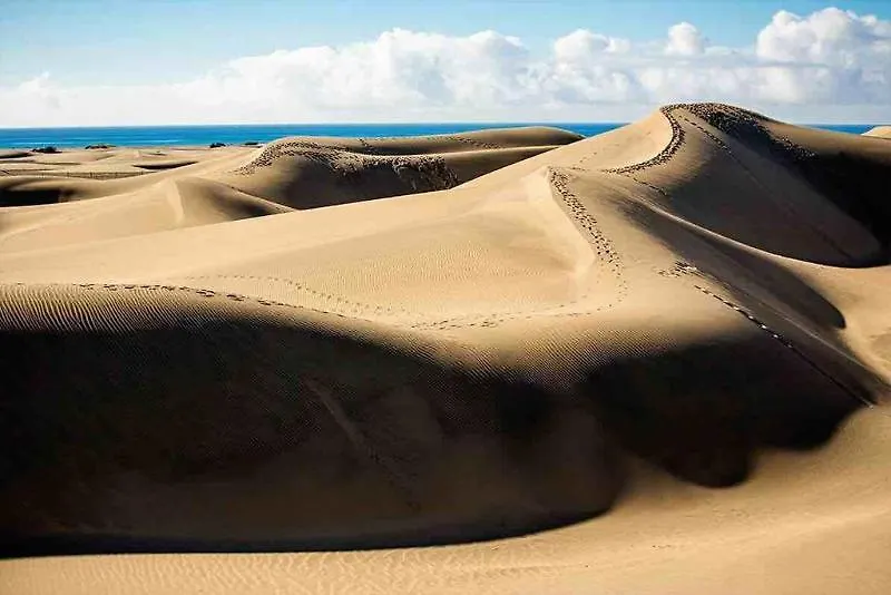 Hotel Maspalomas Oasis Club